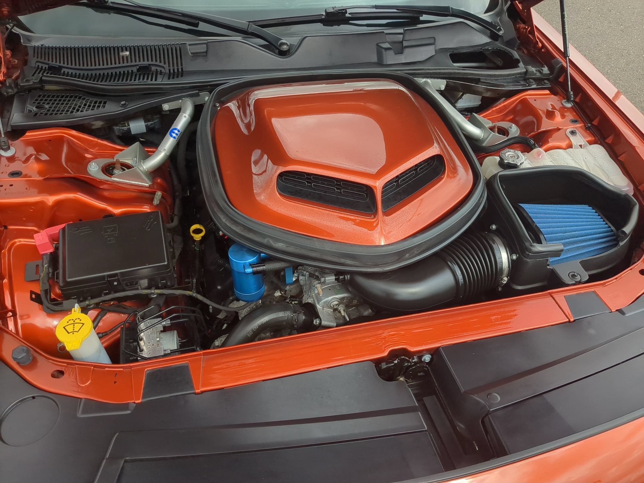 2020 Dodge Challenger R/T 50th Ann.